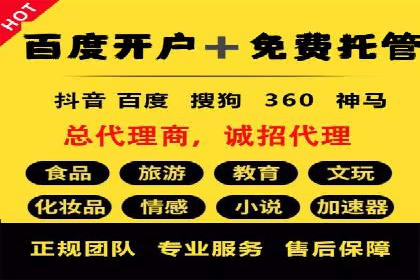 SEM专员如何通过数据分析优化广告投放